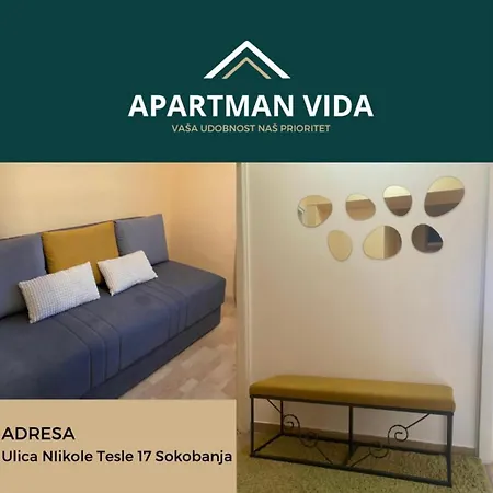Apartment Vida Soko Banja