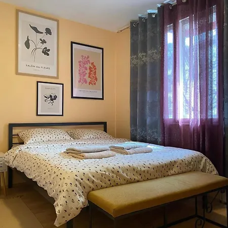 Vida 索科矿泉村