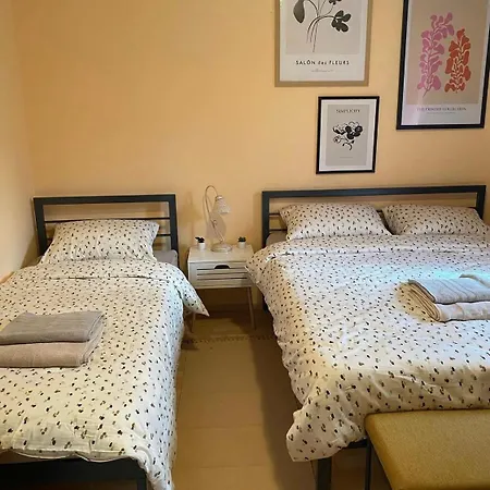 Vida 索科矿泉村